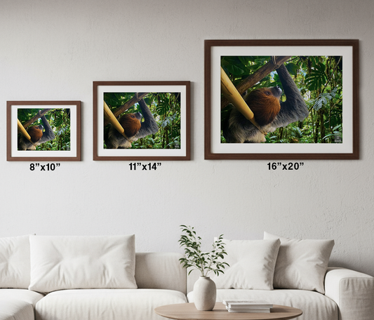 Deep Jungle Shade Print