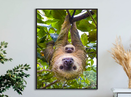 Rainforest Bond: Mother & Baby Print