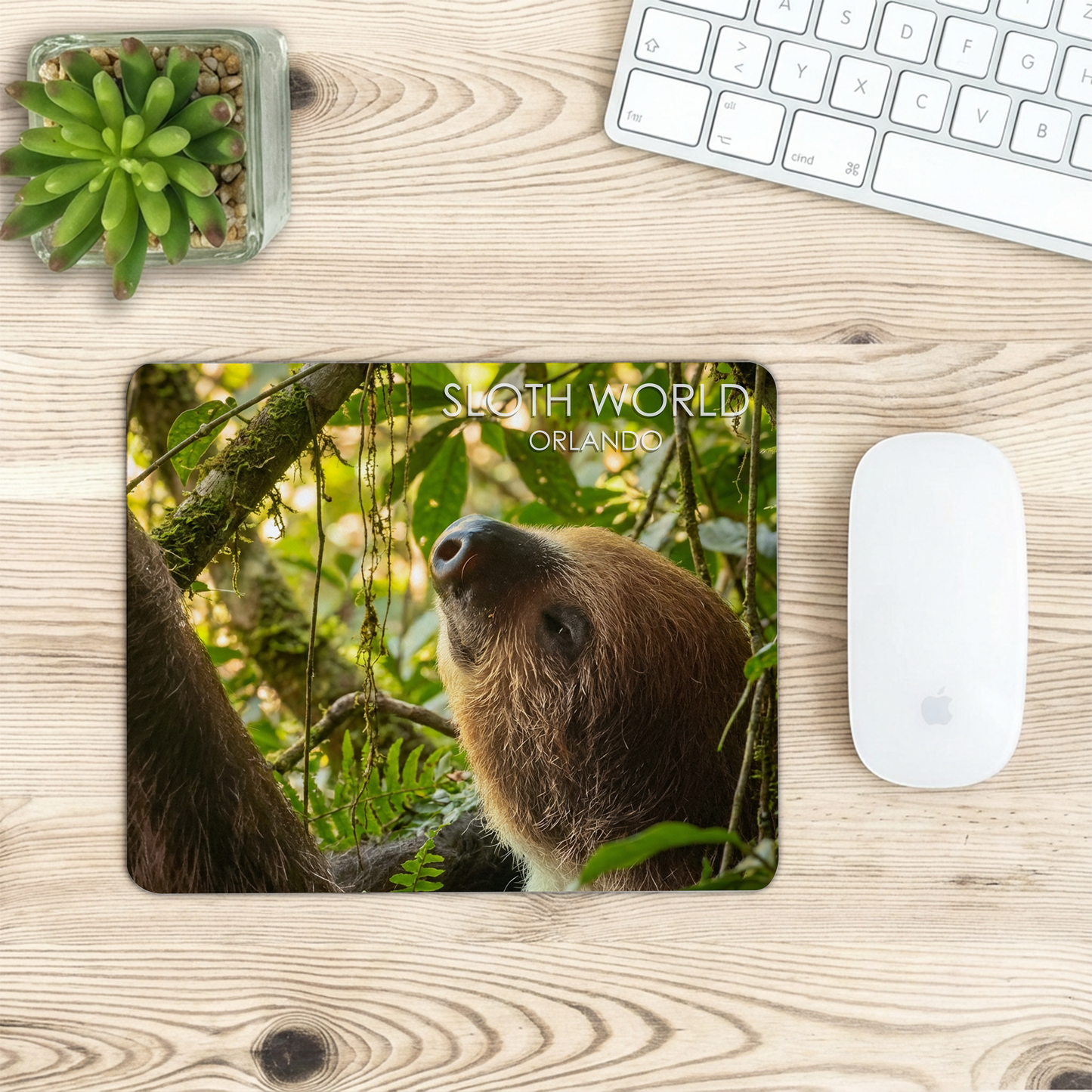 Rainforest Gaze Premium Mouse Pad
