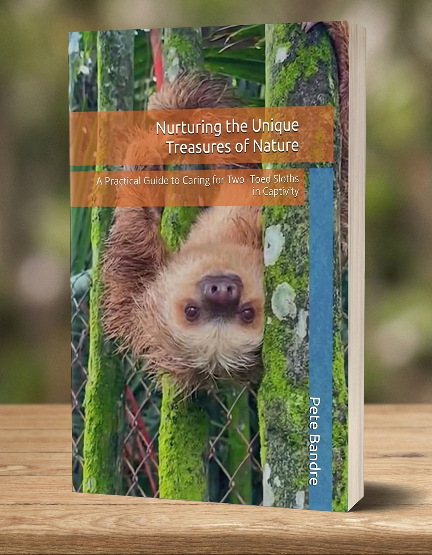 Nurturing the Unique Treasures of Nature: A Practical Guide to Caring for Two -Toed Sloths in Captivity