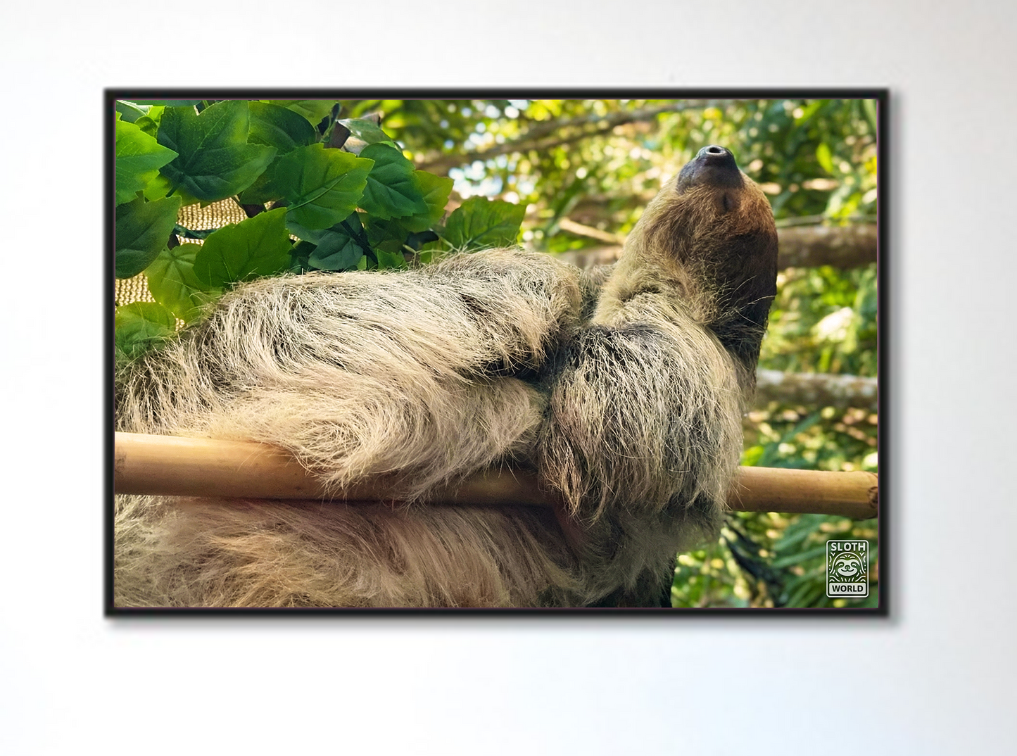 The Art of the Nap: Bamboo Slumber Print