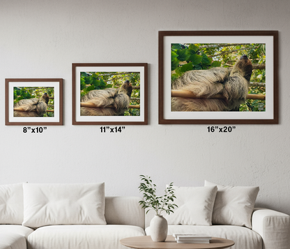 The Art of the Nap: Bamboo Slumber Print