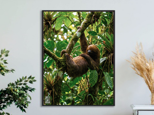 Rainforest Resident Portrait Print