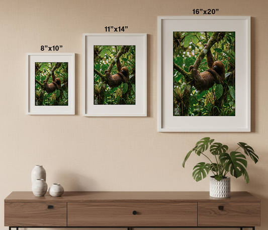 Rainforest Resident Portrait Print